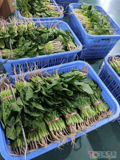 无接触配送安全放心 社区团购受市民青睐